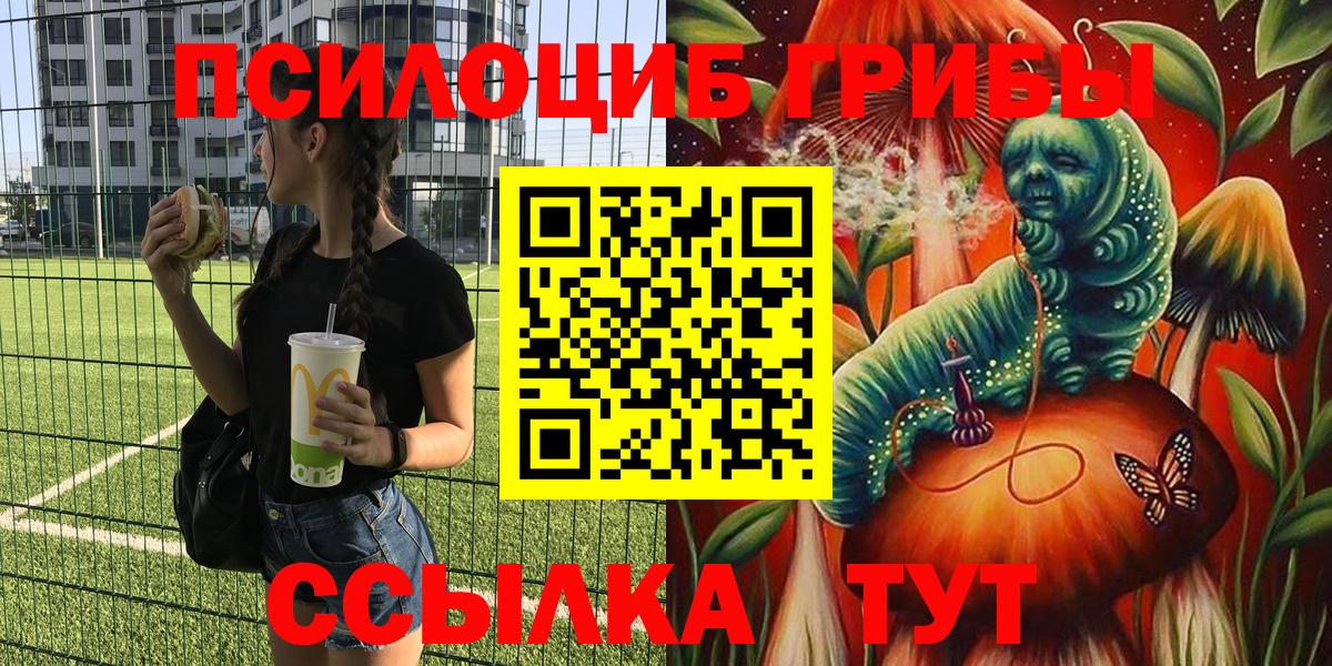 Псилоцибиновые грибы ЛСД Анапа