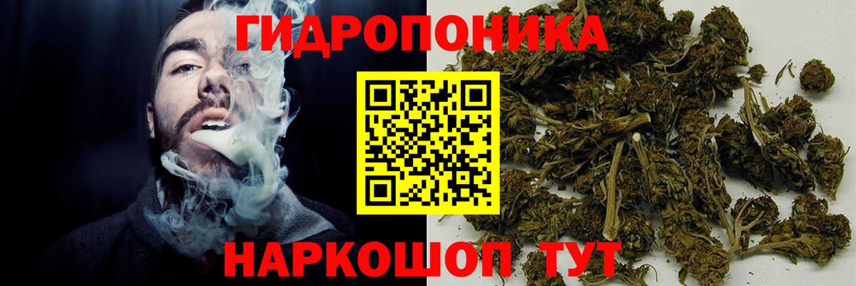 Каннабис Amnesia  Бошки марихуана SATIVA & INDICA  Каннабис OG Kush  Каннабис сатива  Анапа  Вход с VPN 